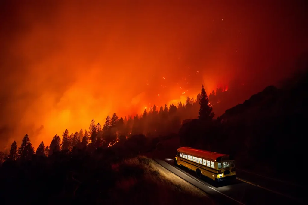 7 Surprising Things The Lost Bus Premiere Revealed About Wildfire Films
