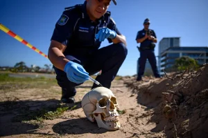 Tamika Chesser Case: Skull ID On Sept 5 Rewrites A 78‑Day Timeline