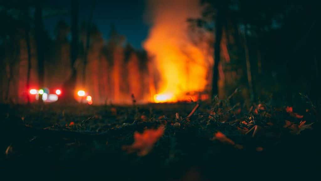 Most people don’t know the real story behind the Kecksburg UFO crash, what it means for you