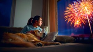 What your dog’s reaction to fireworks secretly reveals about their past you never considered
