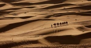 El cambio climático podría transformar el desierto del Sahara con un aumento de lluvias nunca antes visto