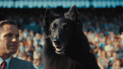 Best in show 2025: Gorgeous Belgian Sheepdog Soleil stuns competition on Thanksgiving, beats 1,994 dogs