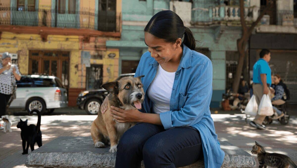 La integración de animales en la vida cotidiana porteña: por qué es clave la adopción responsable y la esterilización