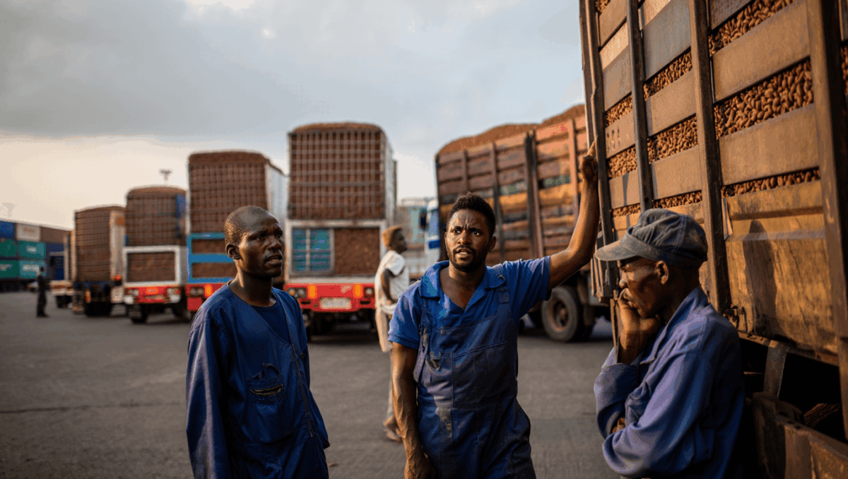 Ivory Coast grapples with cocoa glut as falling prices trigger cash crunch at ports