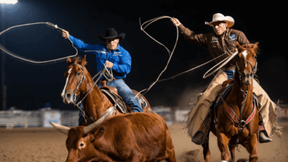NFR round 8 winners crowned last night with team ropers Wade and Thorp setting world-record tying pace