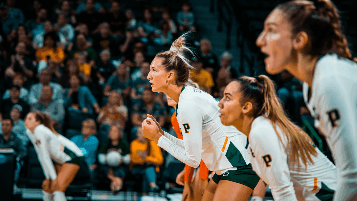 Cal Poly volleyball takes on top-seeded Kentucky in Sweet 16 showdown, unranked Mustangs aim for upset