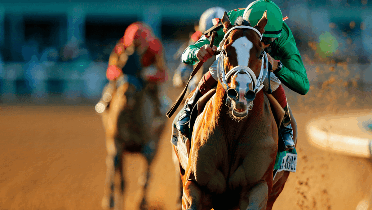 Pegasus World Cup faces heavyweight field tonight with Disco Time favored