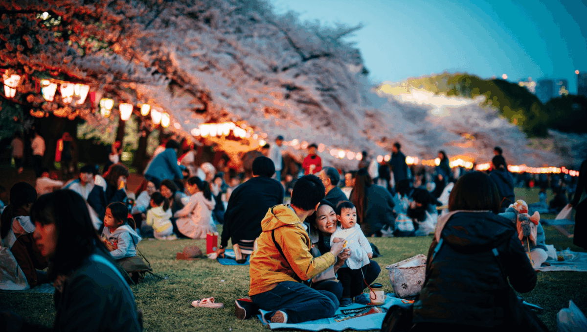 Japanese cherry blossom festivals bloom late March-early April, here's where to go