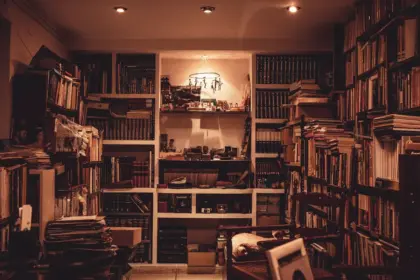 Bücher, Filme und Sammlerstücke einer beliebten Fantasy-Franchise auf einem Regal