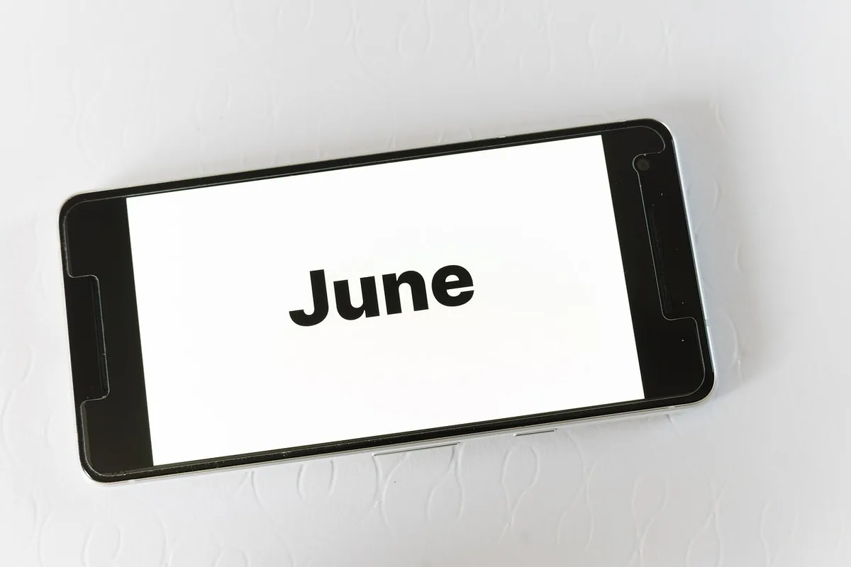 In-game calendar UI showing segmented day and night ticks