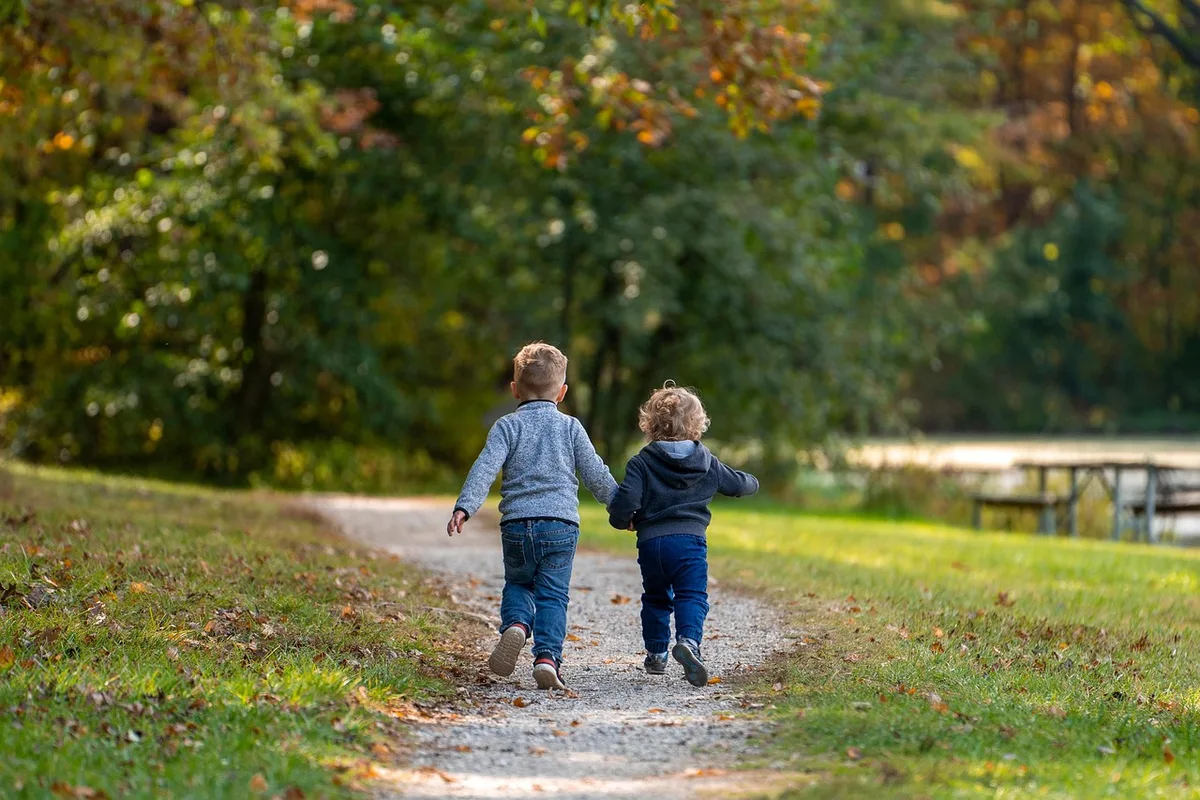 An older person walking with a dog on a sunny country path, suggesting companionship and quiet healing