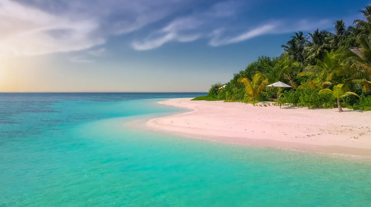 Rendered tropical island game world with clear water and palm trees